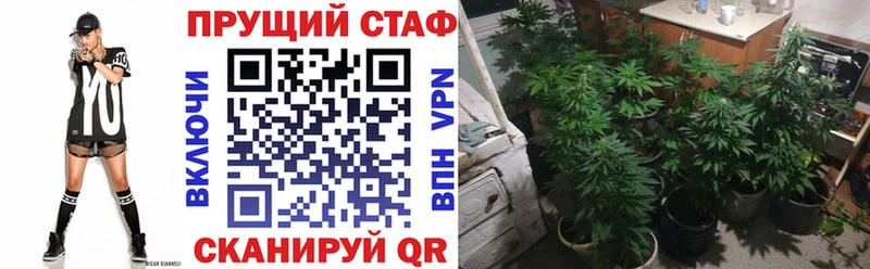 Купить закладку Углегорск Псилоцибиновые грибы  Alpha-PVP  Меф  АМФ  Канабис  Гашиш 