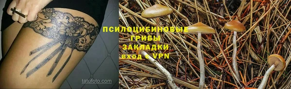винт Армянск