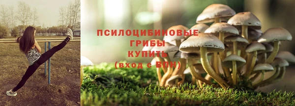 винт Армянск